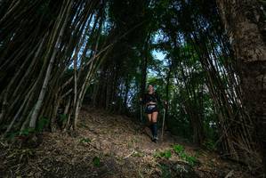 BIB: 
                            <button type="button" onclick="openModal(19395434)" class="btn btn-primary btn-sm float-right btn-popup" data-toggle="modal" data-target=".modal-high-quality">
                        <i class="fas fa-shopping-cart"></i> Add to Cart
                    </button>
                                            <button type="button" onclick="isThisMe(19395434, true)" class="btn btn-success btn-sm float-right btn-popup btn-isme hidden" data-toggle="tooltip" data-placement="bottom" title="นี่คือรูปของคุณใช่ไหม คลิกที่นี่เพื่อเอาเข้าอัลบั้ม">
                        <i class="fas fa-plus"></i> Add to album
                    </button>
                    <button type="button" onclick="isThisMe(19395434, false)" class="btn btn-warning btn-sm float-right btn-popup btn-isnotme hidden">
                        <i class="fas fa-ban"></i> Remove from album
                    </button>